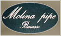 logo molina